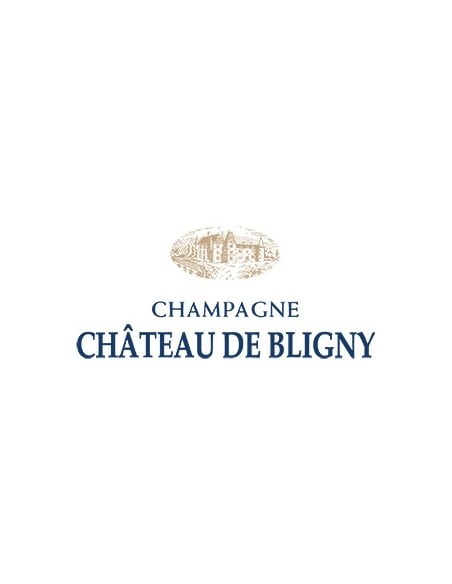 Chateau De Bligny