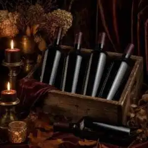 Halloween wine case